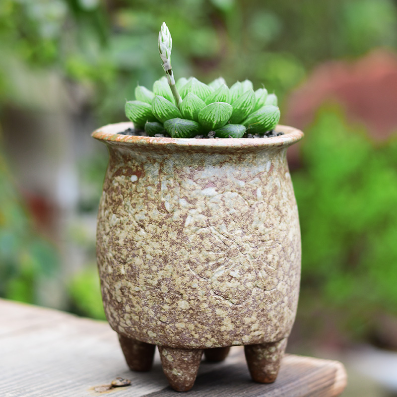 Meaty plant POTS ceramic clearance small coarse pottery breathable household balcony green plant pot creative clay POTS