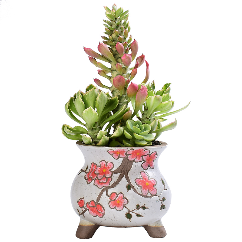 Hand - made fleshy ceramic flower pot Korean creative high coarse TaoYang fleshy flowerpot breathable creative move trumpet