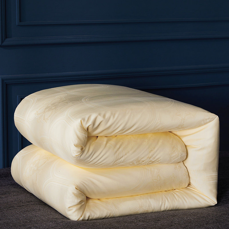 钱皇100%桑蚕长丝被 黄金蚕丝被 春夏保暖冬被 天丝睡眠被子被芯
