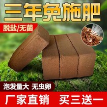 Coconut Brick Nutraceutical Broccoli organic soil to raise flowers Green Planted Universal Soil Flowerpots Swatter Todo Multimeat nutritious Tuilles