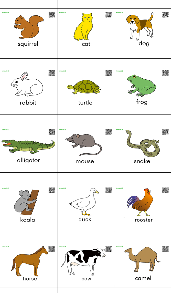 animals动物44种英语单词闪卡英文卡片幼儿园早教宝启蒙教师教具