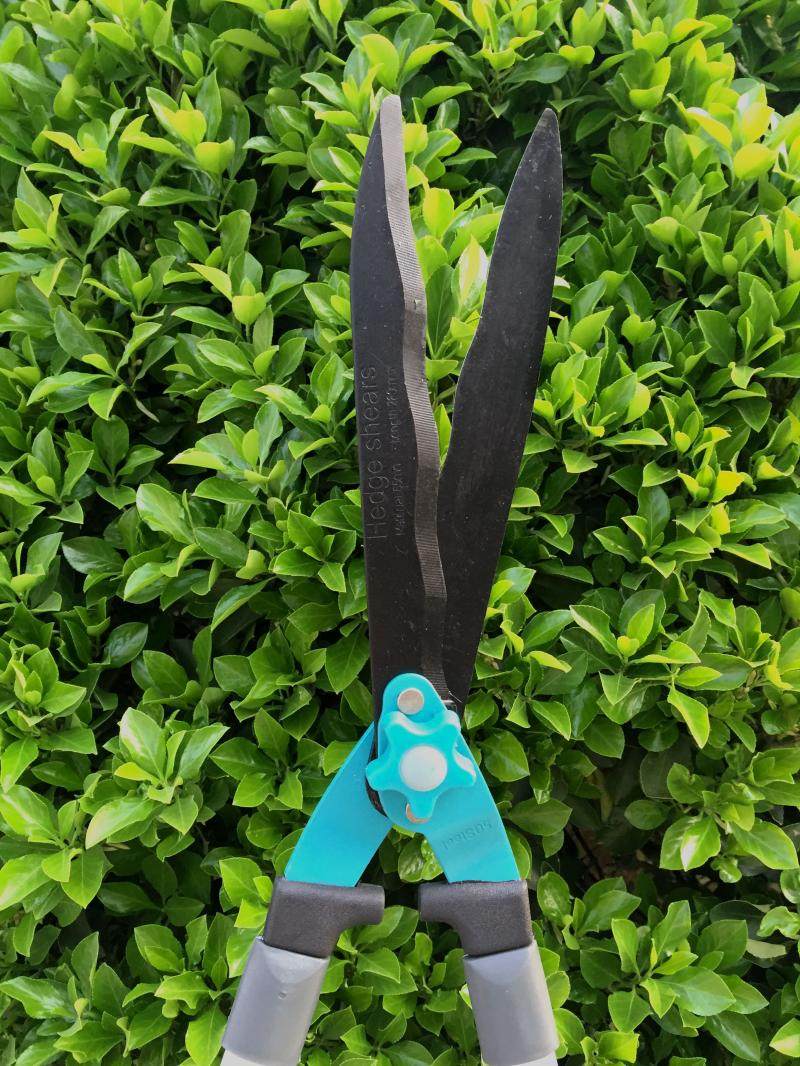 正品神鸡可伸缩高档整篱剪园艺剪修枝剪大草剪