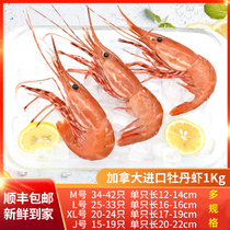 Canada imported wild peony shrimp 1KG(large medium and small specifications)Japanese cuisine sashimi grade high-end ingredients
