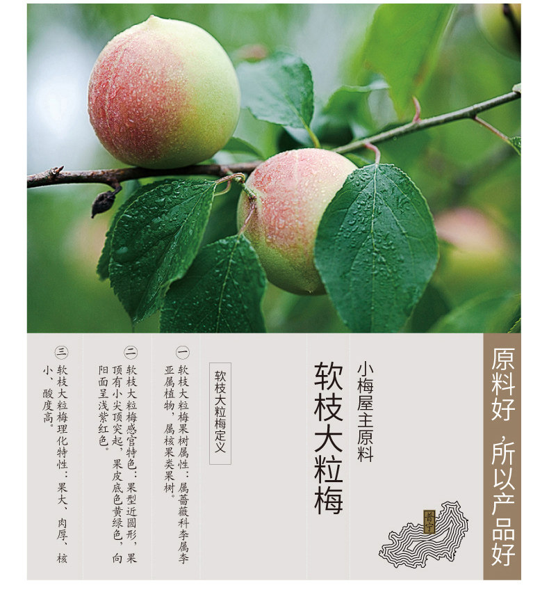 小梅屋金苏梅3袋广东特产网红休闲零食青梅果干酸梅子话梅蜜饯