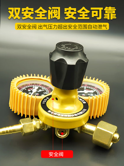 질소 게이지 질소 압력 감소 압력 감소 밸브 질소 압력 게이지 YQD-9 질소 압력 조절제 질소 실린더 게이지 질소 게이지 질소 압력 감소 압력 감소 밸브 질소 압력 게이지 YQD-9 질소 압력 조절제 질소 실린더 게이지