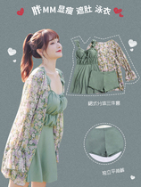 Adult swimsuit female summer cover belly Japanese three-piece set of slightly fat conservative slim hot spring swimsuit large size Super fairy cover meat