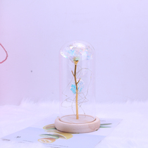 Luminous romantic rose gift gift Red Rose White Rose creative gift