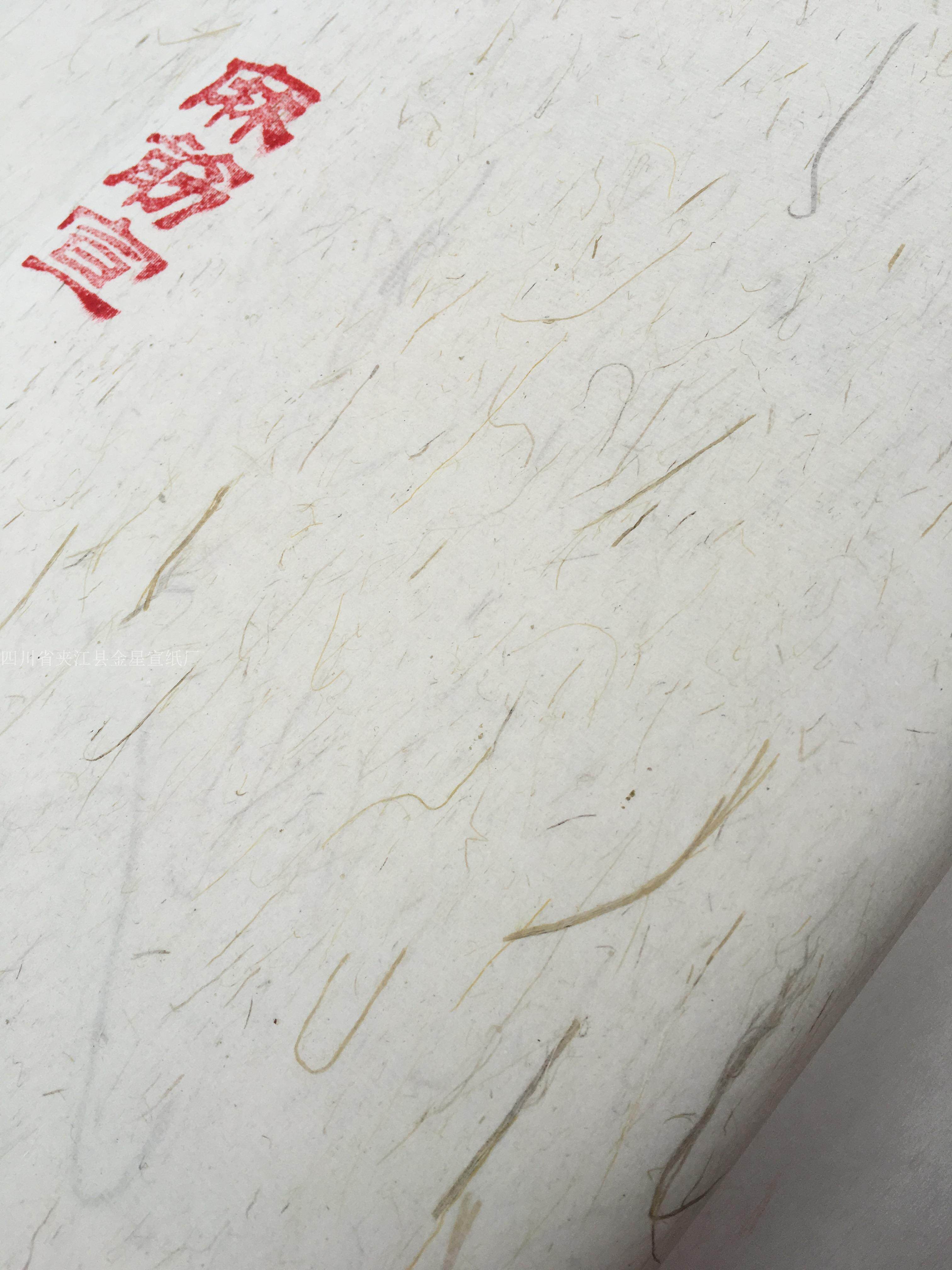 四尺长纤维麻筋纸宣纸 书法国画专用纸宣纸 厂家批发