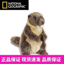 National Geographic National Geographic Simulation Animals paparazzi Squirrel Dry Otters Fur Suede Toy