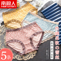 Antarctic man striped lace panties womens pure cotton antibacterial crotch breathable Japanese sweet girl sexy briefs head