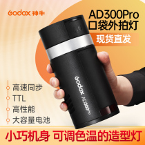 Shenniu AD300pro outside shooting flash outdoor portrait studio photography light TTL high-speed metering Lithium electric portable film and television lamp external shooting light LED always on
