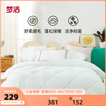 Dreamers Spinned Antibacterial Autumn Winter Quilt Two-in-one Quilt Core Single Four Seasons Universal Quilted By Mother And Mother By Shuu Fiber Quilt