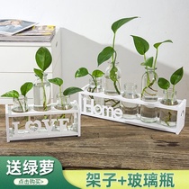 Creative simple hydroponic small vase ins Net red living room dried flower arrangement table decoration office ornaments flower arrangement