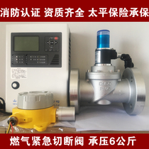 Industrial and commercial natural gas leak alarm solenoid shut-off valve automatic control valve gas explosion-proof solenoid valve