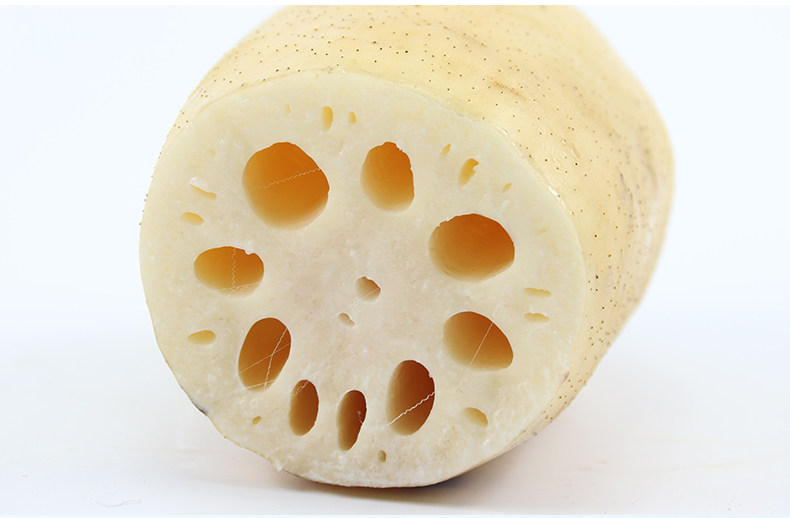 陕西特产华州九孔莲藕农家新鲜莲藕现挖5斤非湖北洪湖糯莲藕