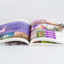 Picture album printing wireless glue-bound periodical magazine brochure product manual picture book brochure a printing
