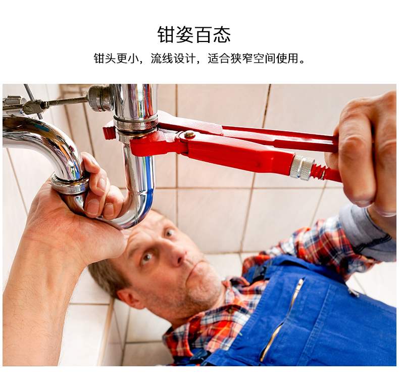 详情_04.jpg