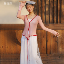 Classical dance practice clothing womens coat new mesh long sleeve floating dance costume adult Chinese dance performance clothes