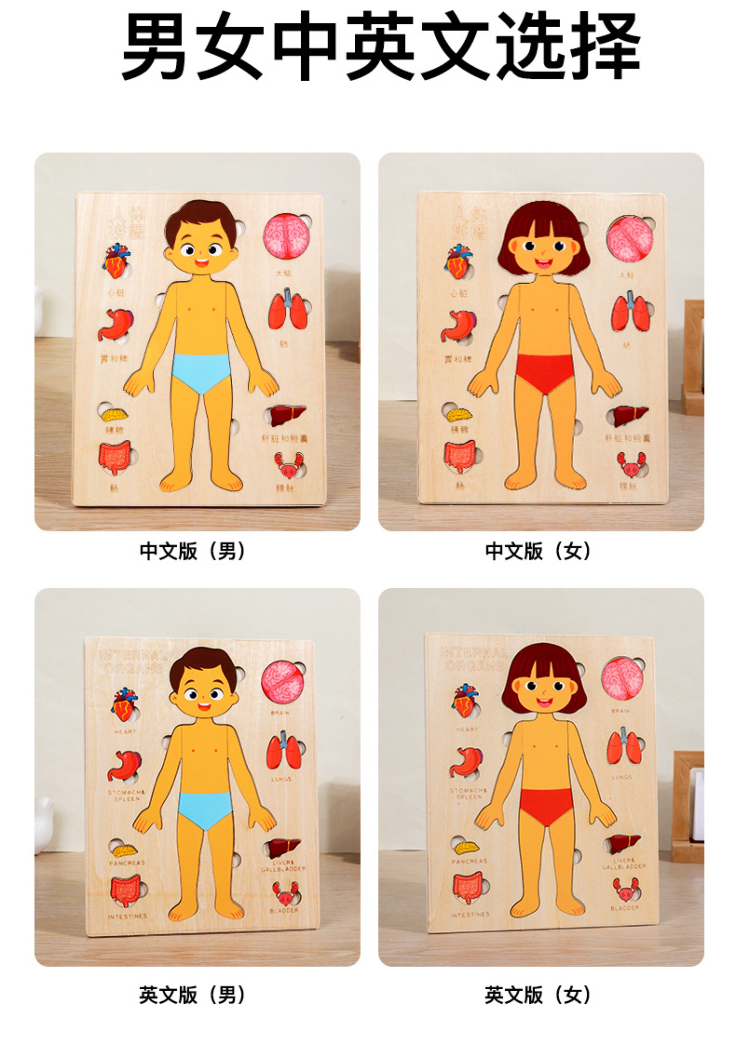 人体结构拼图器官模型身体儿童玩具益智早教男孩女孩宝宝认知卡片