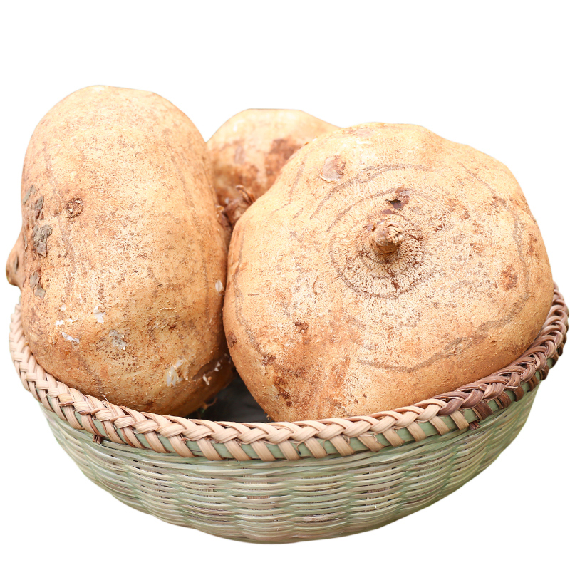 农家新鲜凉薯时令果蔬白土瓜现挖白地瓜沙葛根番薯地萝卜