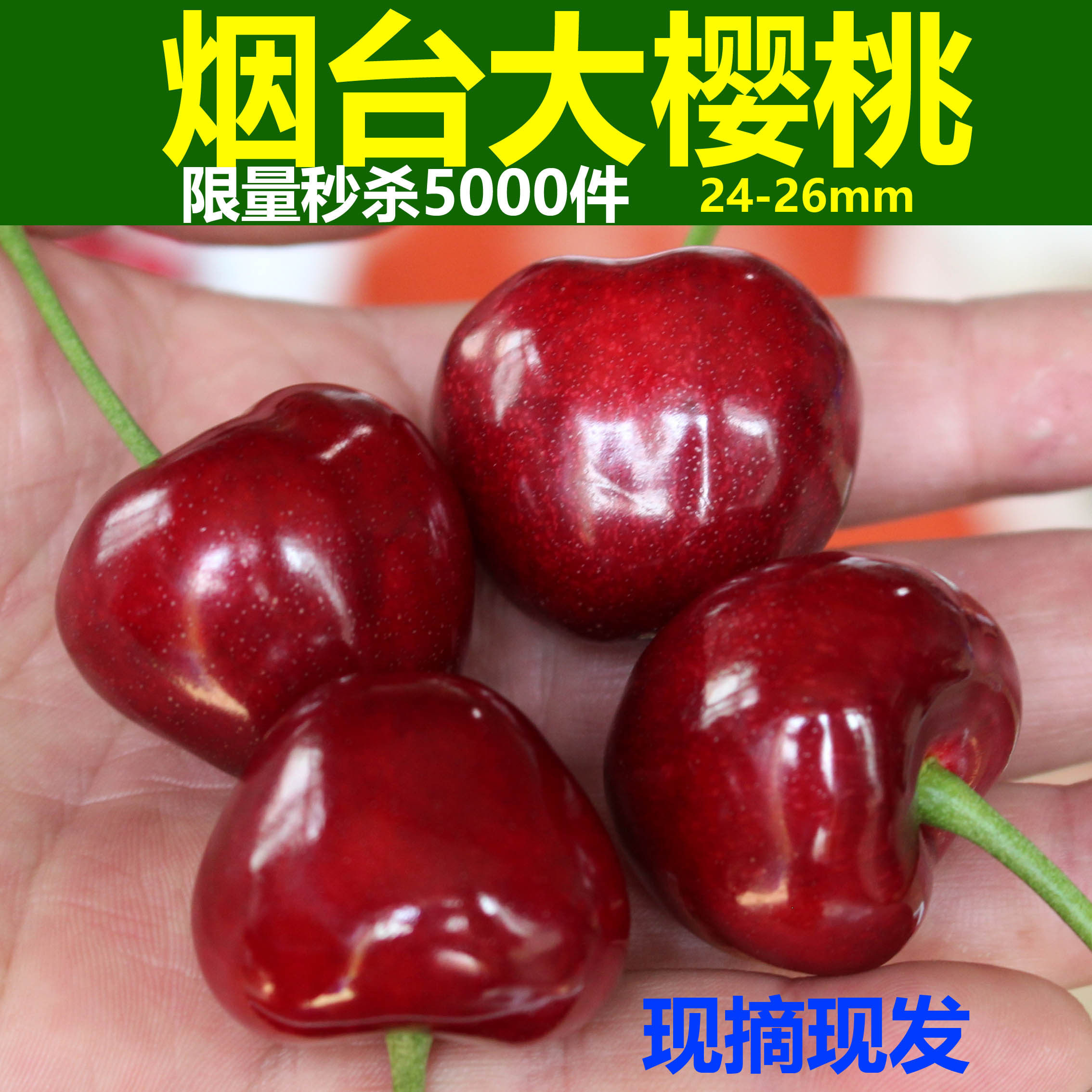 預(yù)售15天內(nèi)發(fā)貨：國(guó)產(chǎn)現(xiàn)摘 暢美 煙臺(tái)美早大櫻桃車(chē)?yán)遄?斤（24-26mm）