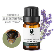 Nettle Heights Real Lavender Essential Oil Balancing Water Oil Acne Repair Massage Acne Closing Aid Sleep