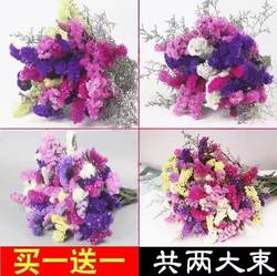 Yunnan Forget-Me-Not Base Straight Hair Forget-Me-Not Mixed and Matched Bouquet Buy One Get One Free Living Room Home Decoration Flowers