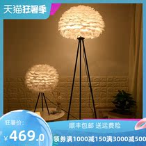 Nordic living room floor lamp ins wind creative feather bedroom net red Simple personality high foot standing lamp