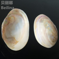 Freshwater Pearl Bay Shell Natural Single-sided White River Bay Polished Home Creativity Craft Ornament Fish Tank Aquatic Pendulum