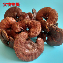 Semi-wild whole red Ganoderma lucidum Whole red Ganoderma lucidum Changbai Mountain Chinese herbal medicine 50 grams g full 10 pieces 1 catty