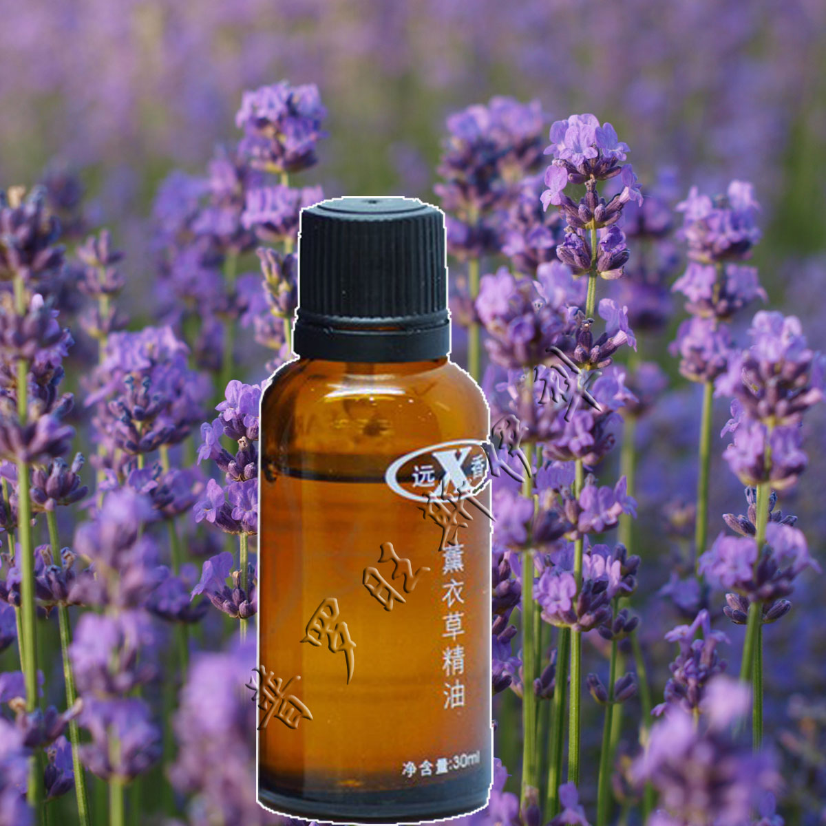新疆伊犁远香薰衣草单方纯精油30ml