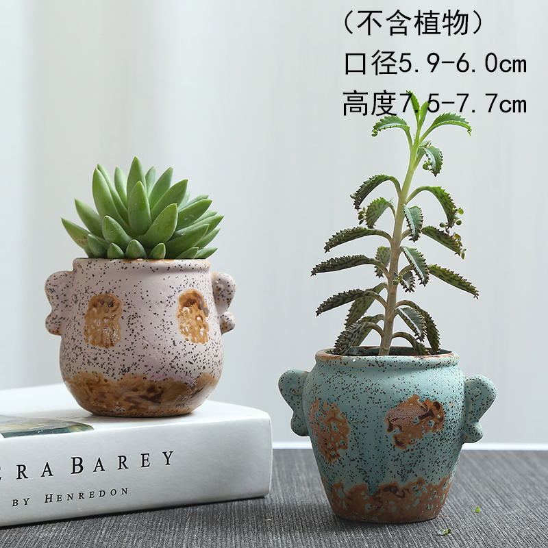 Meaty plant POTS ceramic creative large diameter small old running the coarse pottery flowerpot flesh POTS, purple large pot