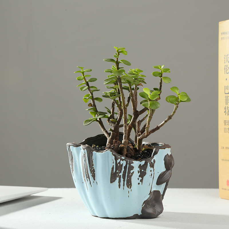 Ou more meat meat, green ceramic flowerpot large old running with supporting green plant pot interior furnishing articles desktop ornaments