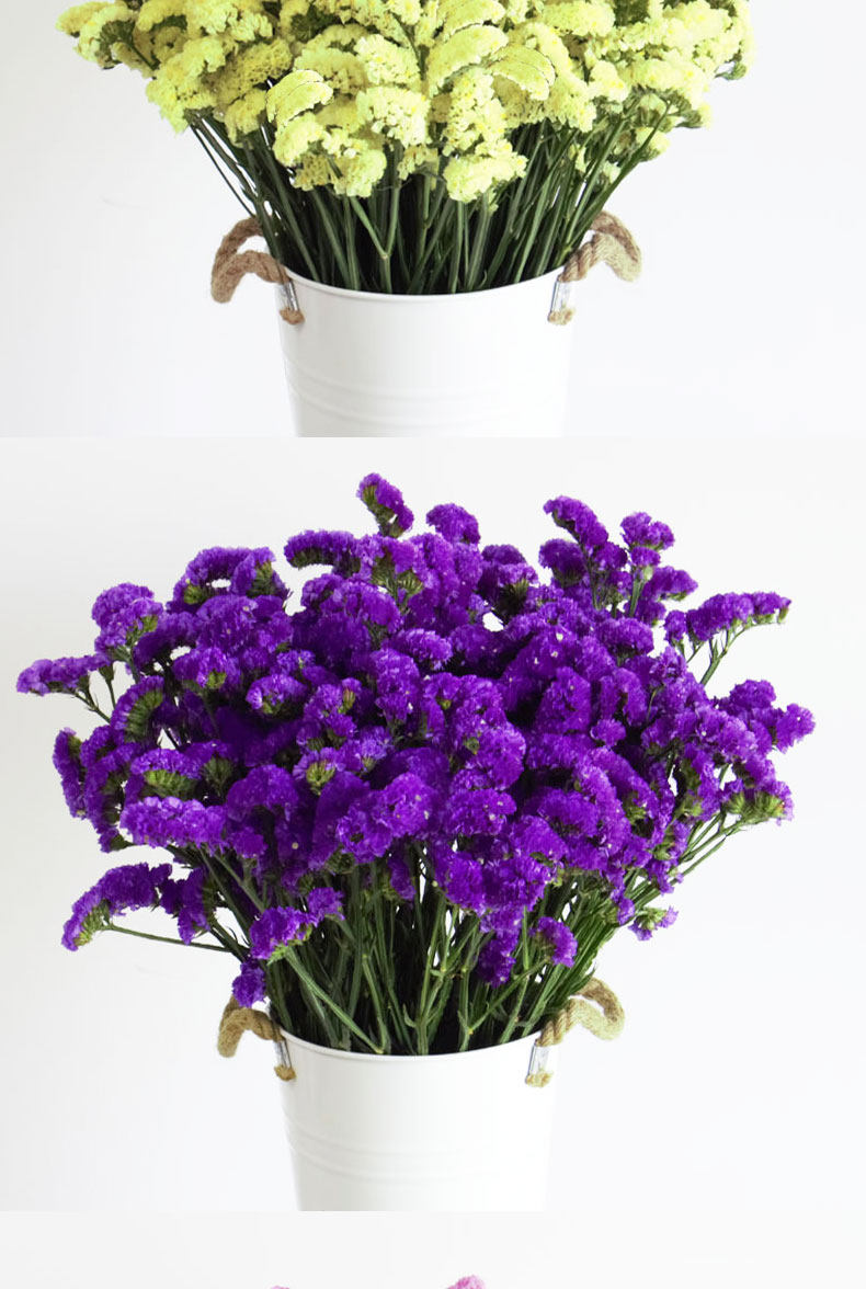 云南满天星干花大花束真花家居摆设件客厅装饰鲜花艺勿忘我论斤称