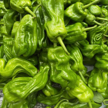 Farmers own fresh green pepper pepper seasonal vegetables are now picked thin skin and slightly spicy a 3-kilogram package