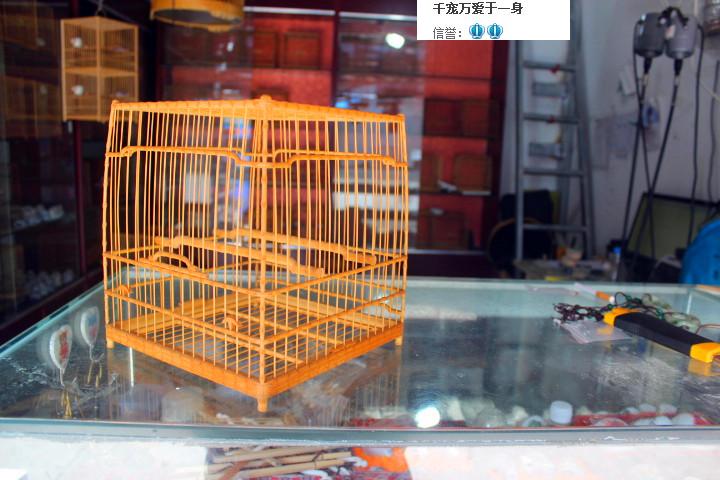 南京绣眼鸟笼 名家全手工雕刻竹节笼绣眼亮笼板笼_不打折现价1300.