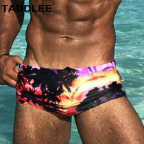 TADDLEE swimming trunks mens small flat corner fashion quick-drying sexy adult triangle Tide mens swimming trunks Korea hot spring