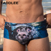 TADDLEE mens swimming trunks Triangle sexy seaside fashion new holiday sports swimming trunks mens hot spring swimsuit