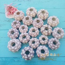 Natural ten thousand lights Sea urchin lilac shell conch gift wedding props set table fleshy potted plant landscaping large