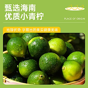 【美享时刻】小青柠果汁饮料1箱10瓶[60元优惠券]-寻折猪