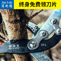 Jane Reed scissors Pruning shears Gardening shears Trimming branches Fruit tree scissors thick branch scissors Strong scissors Labor-saving strong scissors