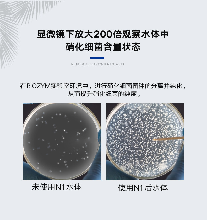 百因美硝化细菌鱼缸用消化细菌液体净水剂活菌水族净水养鱼用品