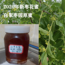 Xinjiang natural red jujube flower honey farmer self-produced native honey non-native honey honey hundred nectar Poplar flower honey 0 added