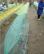 Baiyangdian 20 meters with winged bamboo screen curtain cloth shrimp cage folding fishing net cage loach and eel automatic fishing cage