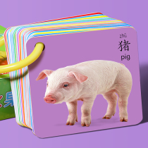 Animal Card Childrens Page Card Imagine Letters Toys Baby Image Card Early Teaching Cognitive Card