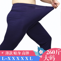 Extra large size mens autumn pants Modal one-piece thin skinny pants spring and autumn and winter base warm pants cotton wool line pants