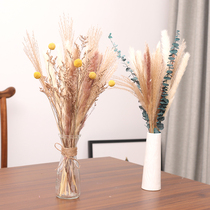 Natural reed dried flowers immortalized Eucalyptus dried flowers whisk flowers bouquets window decoration ornaments dried flowers wedding props