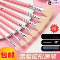 Van Gogh fan-shaped pen gouache set oil painting pen pig bristles hard bristle brush fishtail fan pen cherry blossom fan pen