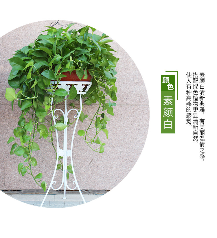 阳台花盆_欧式多层花架子绿萝客厅特价地面室内盆栽架花盆多肉