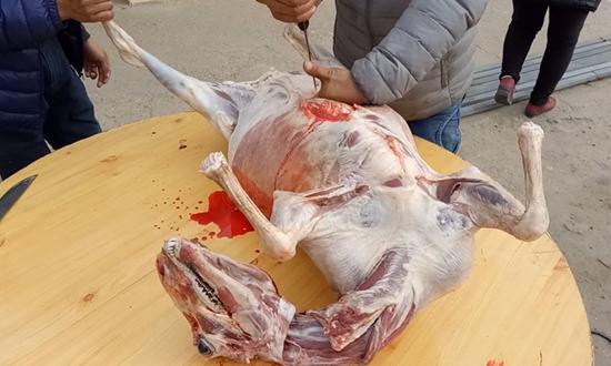 蒙古族各种吃羊方式,看了都馋了